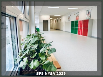sp5nysa2025_10