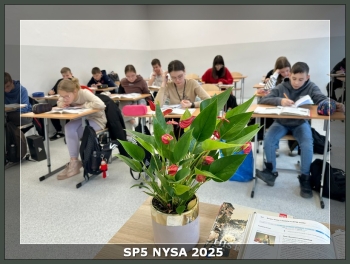 sp5nysa2025_12